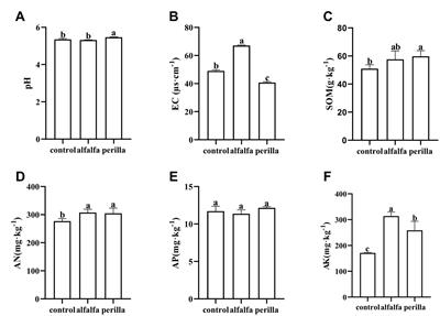 Potential of Medicago sativa and Perilla frutescens for overcoming the soil sickness caused by ginseng cultivation